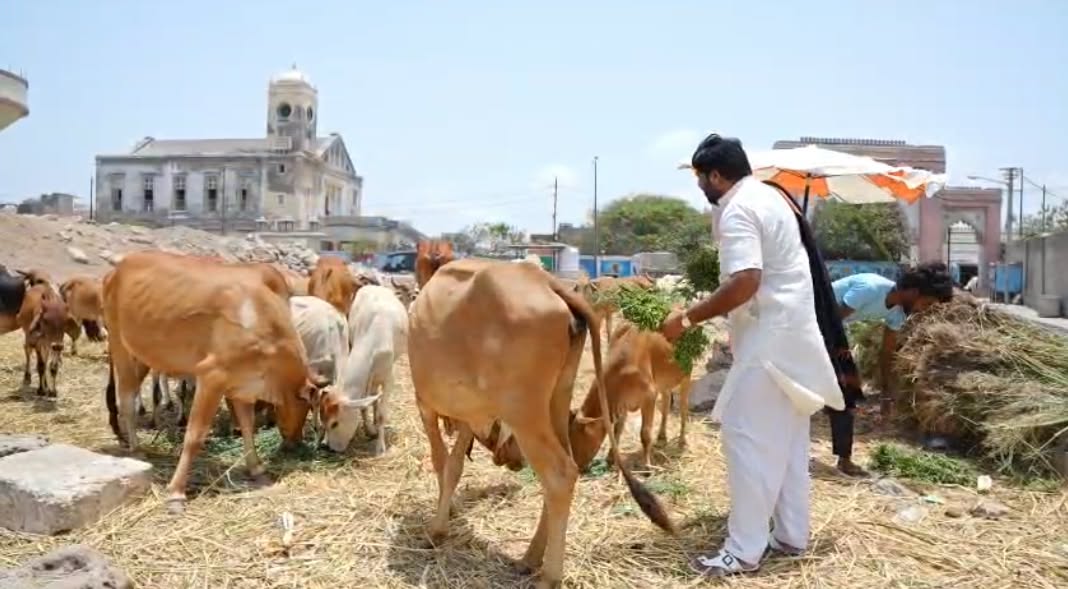 બાળકોને ભોજન વિતરણ